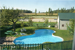 Piscine